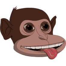 eye monkey