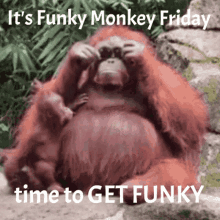 Happy Friday GIF - Happy Friday Funky GIFs