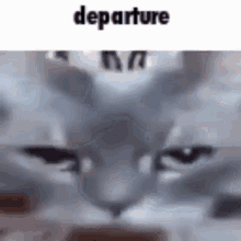 Departure GIF