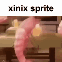 xinix sprite tmodloader tmod spriting