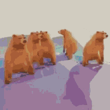Bears Dancing GIF - Bears Dancing Disco GIFs