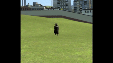 a video game character is standing in a grassy field with a city in the background
