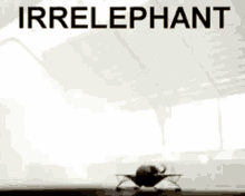Irrelephant Puns GIF - Irrelephant Elephant Puns GIFs