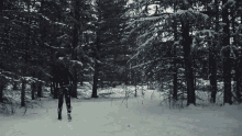 wynonna earp bring wynonna home walking woods snow