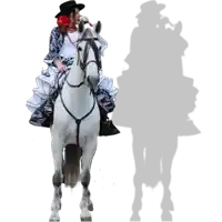a woman with a red flower in her hair is riding a horse