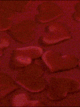 a woman in a green dress is standing in front of a red background with hearts behind her and the word airmaan on the bottom