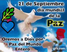 Paz Dia Mundial GIF