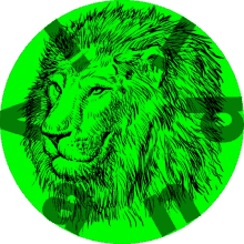 lion logo animal brand