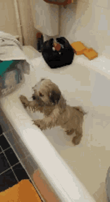 Puppy Bath GIF - Puppy Bath Help Me GIFs