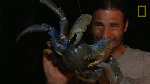 Impressed By The Crab Primal Survivor GIF - Impressed By The Crab ...