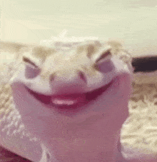 Happy Gecko Smiling Satisfied GIF - Happy Gecko Smiling Satisfied GIFs
