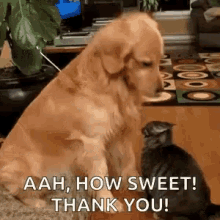 How Sweet Friends GIF - How Sweet Friends Thank You GIFs