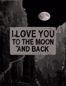 Love Love You To The Moon And Back GIF