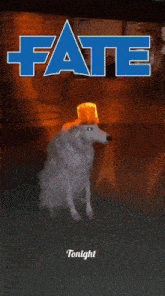 a poster for fate tonight shows a dog wearing a hat