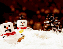 Cookies Snowman Cookies GIF - Cookies Snowman Cookies Snowman GIFs