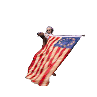 a man is holding an american flag while standing next to a horse