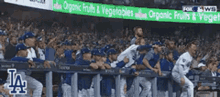 Dodgers Dude GIF - Dodgers Dude Yes GIFs
