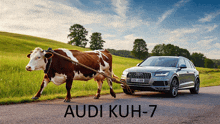 a cow is pulling a silver audi kuh-7 car