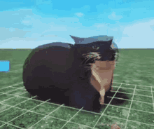 Wooble Bobble GIF - Wooble Bobble Foxchow GIFs