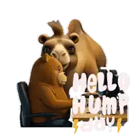 a sticker of a camel and a bear says hello hump happy day