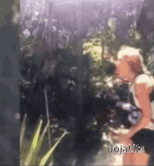 Dojatits Girl Gets Snatched By Monkey GIF - Dojatits Girl Gets Snatched By Monkey The Zoo GIFs