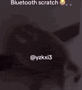 a blurry picture of a cat with the caption bluetooth scratch @yzkxi3