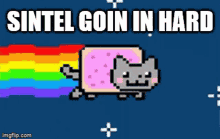 Sintel Cat GIF - Sintel Cat Rainbow GIFs
