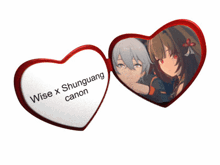 wise x shunguang canon is written on a red heart shaped item