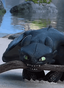 Toothless Dragon How To Train Your Dragon GIF - Toothless Dragon Toothless How To Train Your Dragon GIFs
