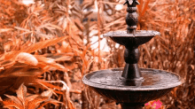Fountain Garden GIF - Fountain Garden Leaves GIFs