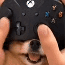 GIF