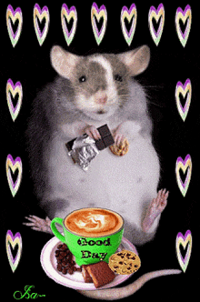 Rat Cute GIF - Rat Cute Mignon GIFs