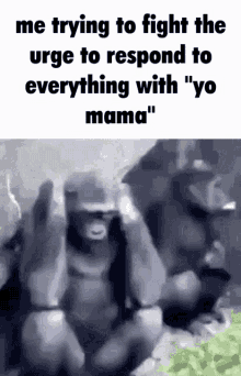 Yo Mama Monkey GIF - Yo Mama Monkey Funny GIFs