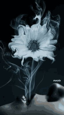 Smoke Flower GIF - Smoke Flower Lady GIFs