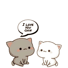 Tin Chen Tintin And Chinchin GIF