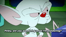Animaniacs Pinky Are You Pondering What Im Pondering GIF - Animaniacs Pinky Are You Pondering What Im Pondering Pinky And The Brain GIFs