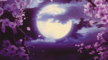beautiful night time the moon