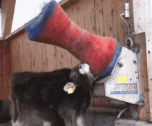 Happy Cow GIF - Happy Cow Massage GIFs