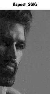 a black and white photo of a man with a beard with the caption aspect sgk