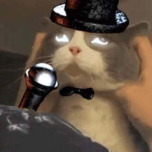 Cat Hat GIF - Cat Hat Freddy GIFs