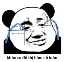 a panda bear is crying with mathematical equations drawn on his face .