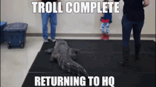 Troll Complete Returning To Hq Troll GIF - Troll Complete Returning To Hq Troll Trolling Complete GIFs