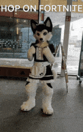 a husky mascot dressed in a maid outfit is standing in front of a window