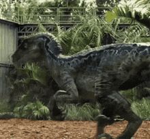 a t-rex is walking in the dirt in a jungle