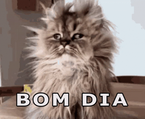 Bom Dia Good Morning GIF - Bom Dia Good Morning Tired - Discover & Share GIFs Bom Dia Good Morning GIF - Bom Dia Good Morning Tired - Discover & Share GIFs