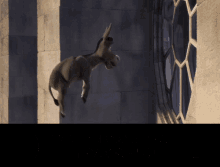 meme shrek pelicula 3d burro