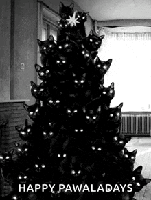Cat Tree Spooky Christmas GIF - Cat Tree Spooky Christmas GIFs