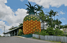 Pineapple Spongebob GIF