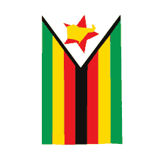 zimbabwe zimpride zim flag zimlove zimbabwean