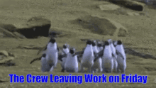 Penguins Leaving Work GIF